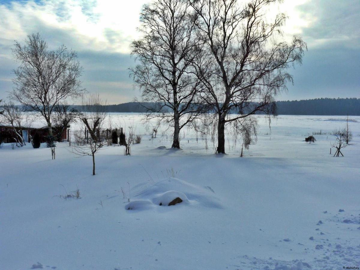 "Balmgarten" Im Naturpark Usedom, Bio Solarhaus Mit Grossem Garten Экстерьер фото