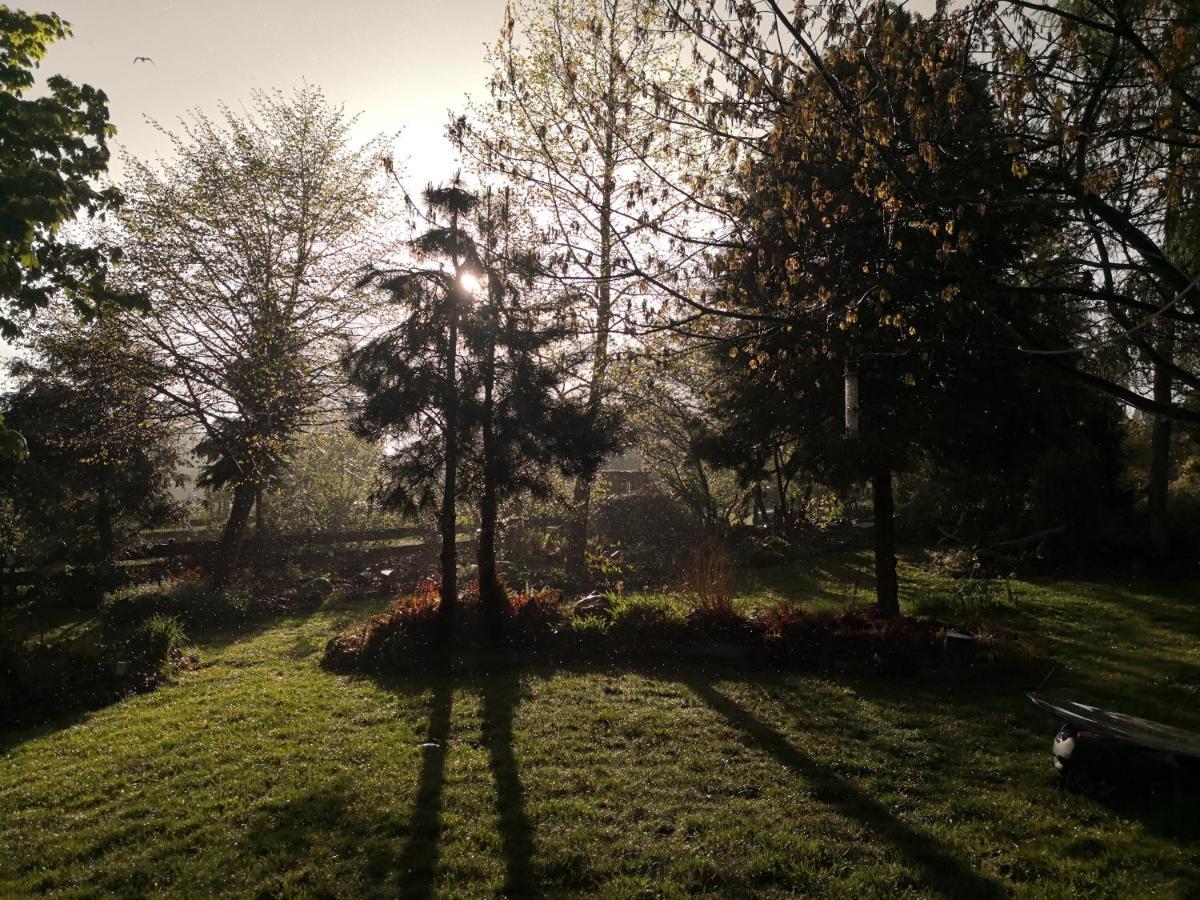 "Balmgarten" Im Naturpark Usedom, Bio Solarhaus Mit Grossem Garten Экстерьер фото